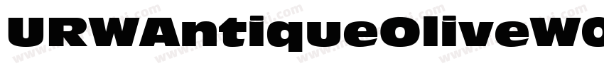 URWAntiqueOliveW01 CompctIt Regular字体转换